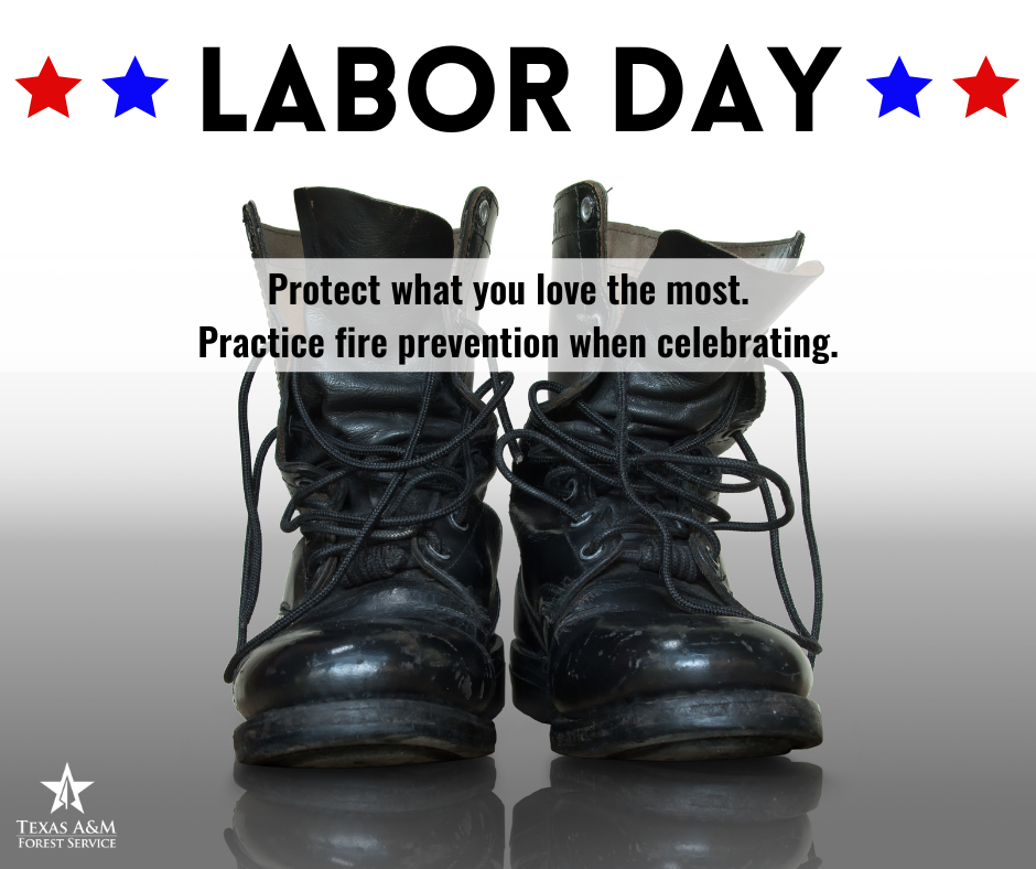 Summer Season Wildfire Prevention - Labor Day Summer Season Wildfire Prevention - Labor Day